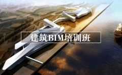 ͨ紨BIMѵ