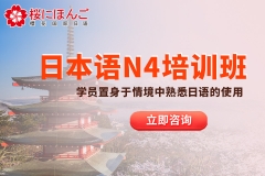 N4ѵ